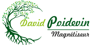 logo-David-3